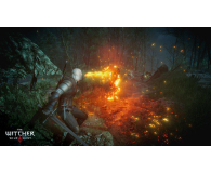 Xbox Wiedźmin 3: Dziki Gon - Edycja Gry Roku - 550377 - zdjęcie 8
